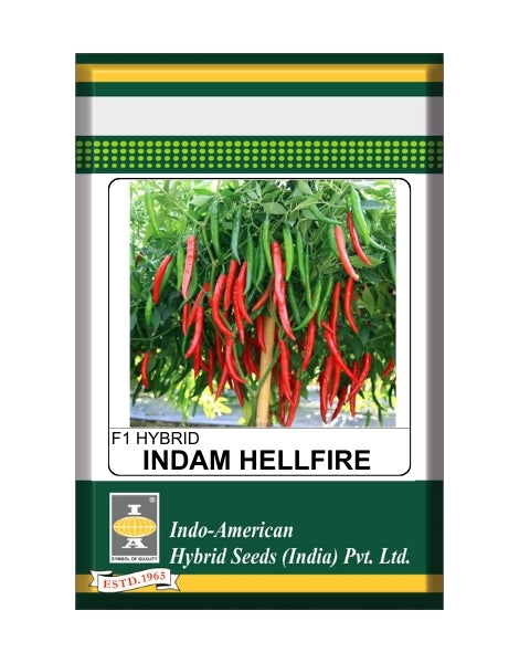 Indam Hellfire Chilli Seeds