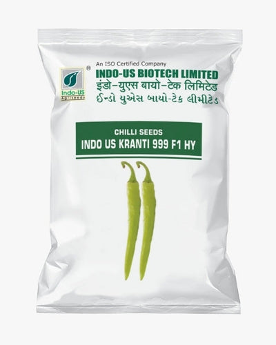 INDO US CHILLI KRANTI 999 F1 HY