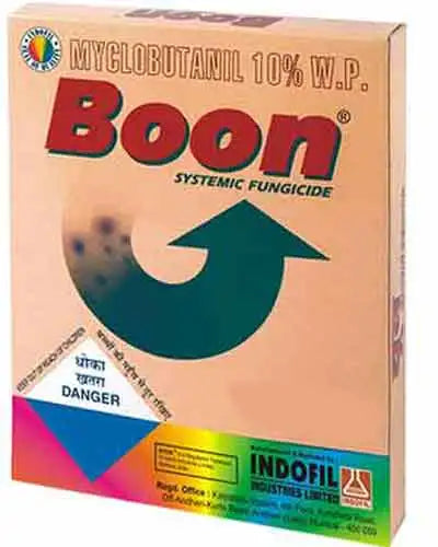 Boon Fungicide