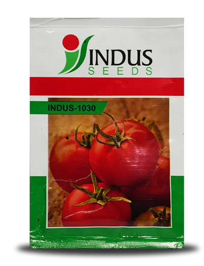 INDUS 1030 TOMATO