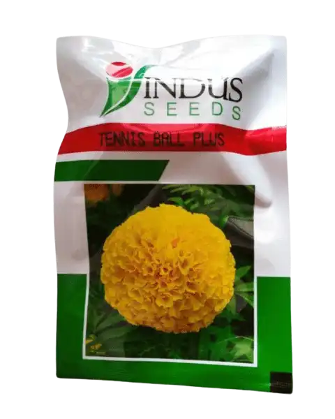 INDUS TENNIS BALL PLUS SEEDS