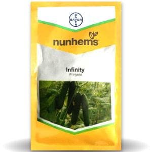 INFINITY F1 CUCUMBER