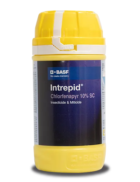 Intrepid Insecticide