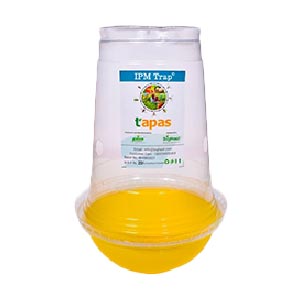 TAPAS FRUIT FLY TRAP IPM TRAP