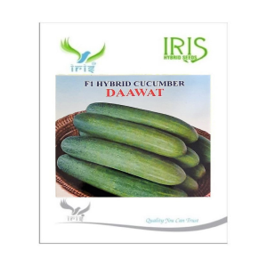 IRIS HYBRID VEGETABLE SEEDS F1 HYBRID CUCUMBER DAWAT