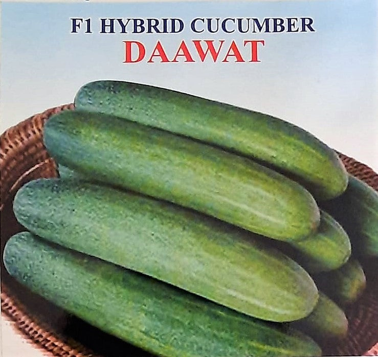 IRIS HYBRID VEGETABLE SEEDS F1 HYBRID CUCUMBER DAWAT