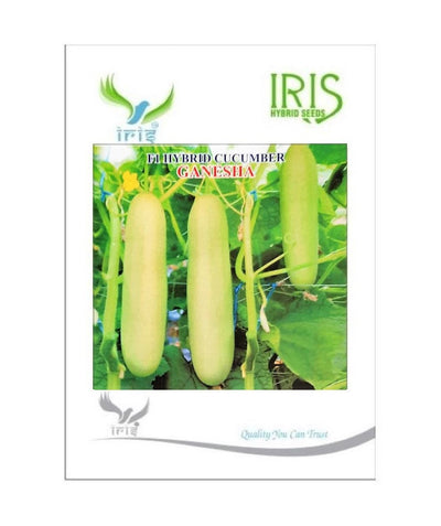 IRIS HYBRID VEGETABLE SEEDS F1 HYBRID CUCUMBER GANESHA