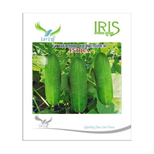 IRIS HYBRID VEGETABLE SEEDS F1 HYBRID CUCUMBER INDRA