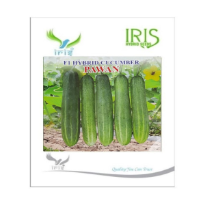 IRIS HYBRID VEGETABLE SEEDS F1 HYBRID CUCUMBER PAWAN