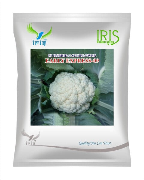 Iris Hybrid F1 Cauliflower Early Express