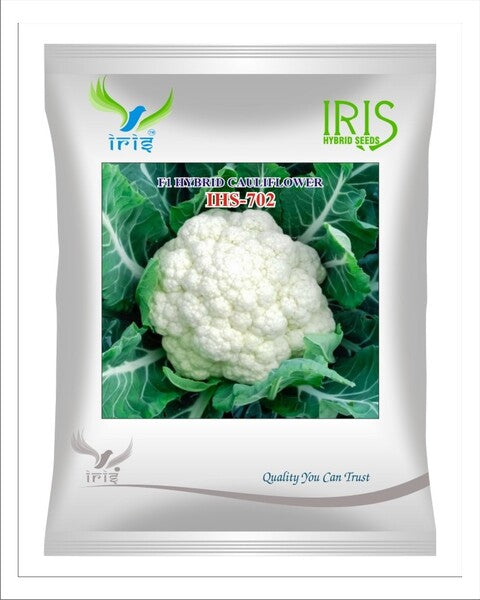 Iris Hybrid F1 Cauliflower IHS702