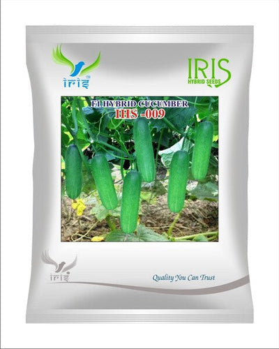 Iris Hybrid F1 CUCUMBER  IHS-009