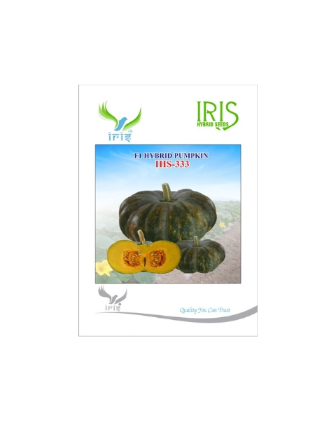 IRIS HYBRID F1 HIS-333 PUMPKIN