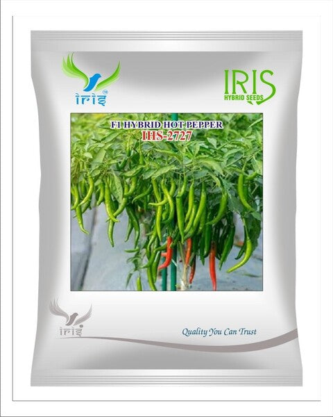 Iris Hybrid F1 HOT PEPPER IHS-2727