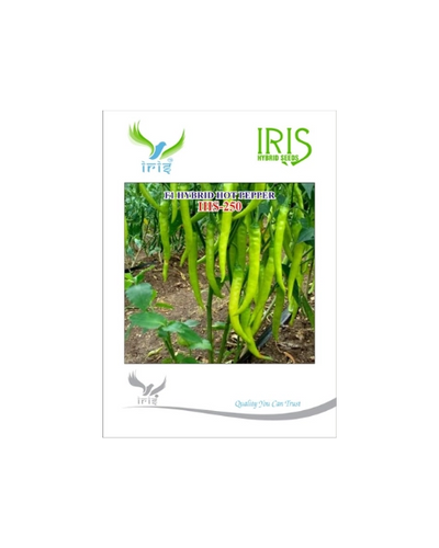 IRIS HYBRID F1 IHS-250 HOT PEPPER