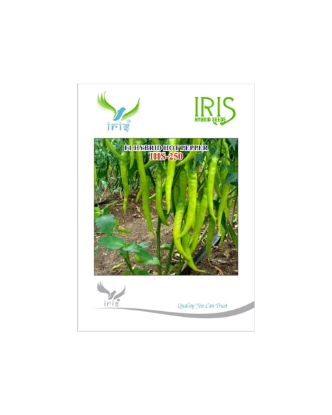 IRIS HYBRID F1 IHS-250 HOT PEPPER