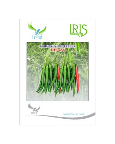 IRIS HYBRID F1 IHS-456 HOT PEPPER