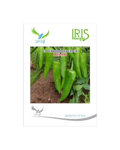 IRIS HYBRID F1 IHS-990 HOT PEPPER