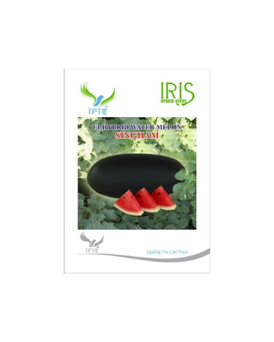 IRIS HYBRID F1 SINGHAM WATERMELON ICE BOX SEGMENT