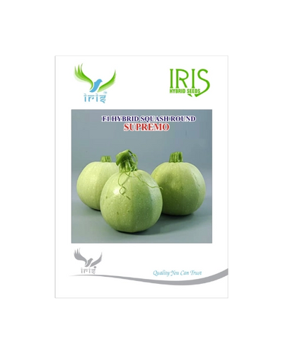 IRIS HYBRID F1 SUPREMO SQUASH ROUND