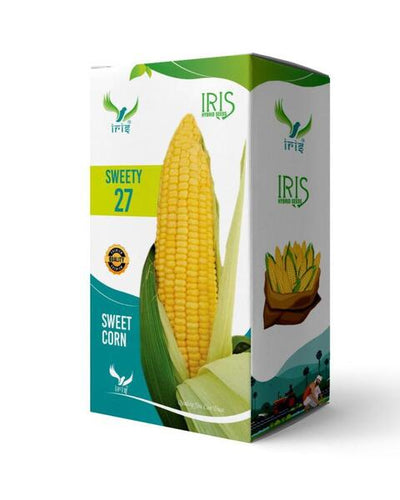 IRIS HYBRID F1 SWEETCORN SWEETY-27