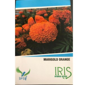 FLOWER SEEDS MARIGOLD ORANGE