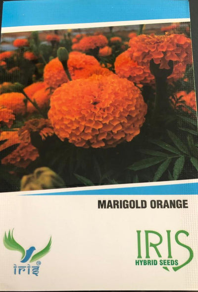 FLOWER SEEDS MARIGOLD ORANGE