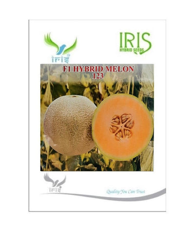 IRIS F1 HYBRID MUSK MELON-123 SEEDS