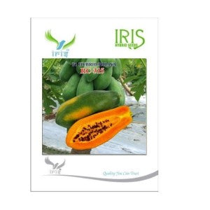 IRIS RC-315 PAPAYA SEEDS