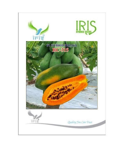 IRIS RC-315 PAPAYA SEEDS