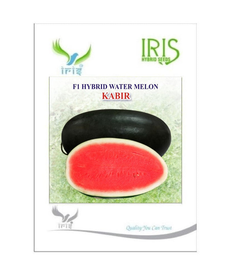 IRIS HYBRID WATERMELON FRUIT SEEDS KABIR - ICE BOX SEGMENT