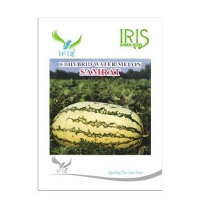 IRIS HYBRID FRUIT SEEDS WATERMELON SAMRAT - ICE BOX SEGMENT SEED