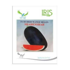 IRIS HYBRID FRUIT SEEDS WATERMELON - SHAHENSHAH