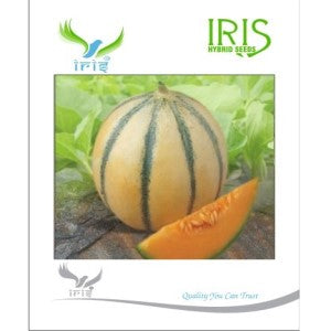 IRIS HYBRID MELON FRUIT SEEDS..