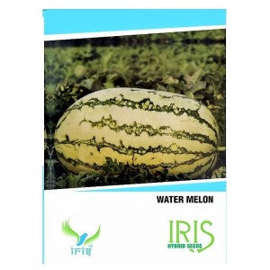 IRIS HYBRID FRUIT SEEDS WATERMELON