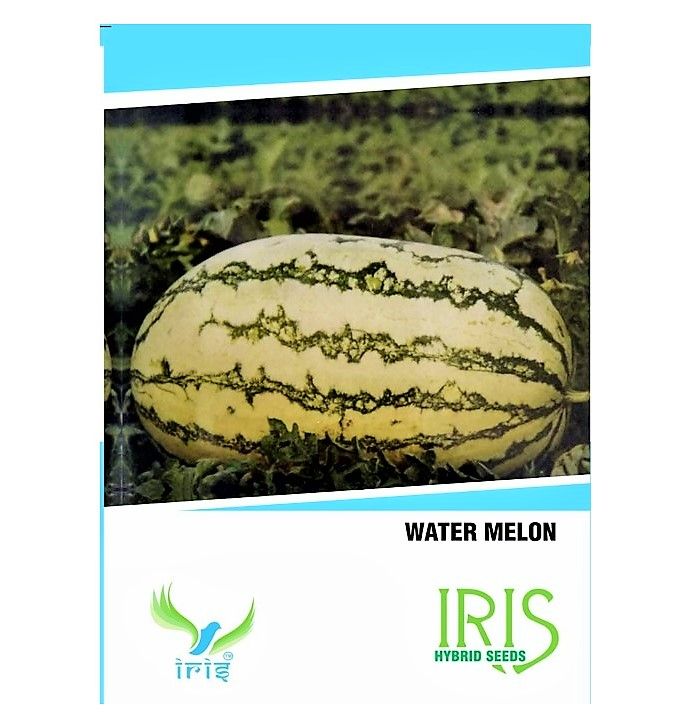 IRIS HYBRID FRUIT SEEDS WATERMELON