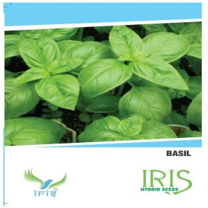 IRIS HYBRID HERB BASIL SEEDS