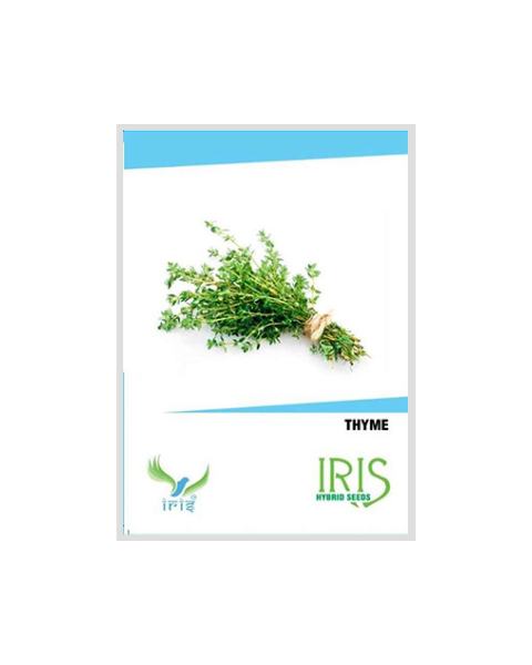 IRIS HYBRID HERB THYME SEEDS