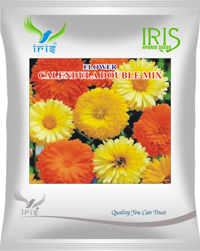 Iris Hybrid Imported OP Calendula Mix