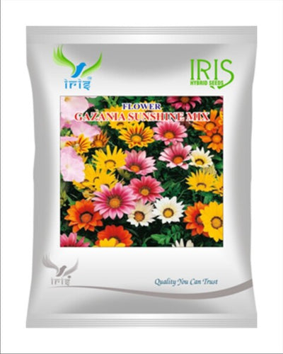 Iris Hybrid Imported OP Gazania Sunshine Mix