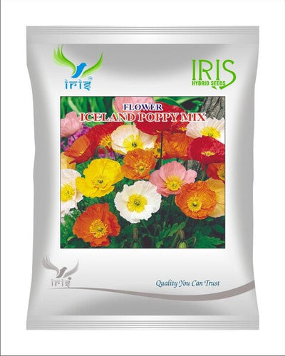 Iris Hybrid Imported OP Iceland Poppy Mix