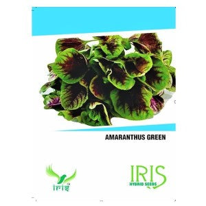 IRIS HYBRID OP AMARANTHUS GREEN VEGETABLE SEEDS