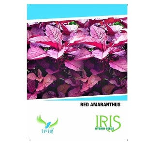 IRIS HYBRID OP AMARANTHUS RED VEGETABLE SEEDS