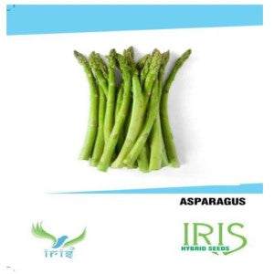 IRIS HYBRID VEGETABLE SEEDS ASPARAGUS