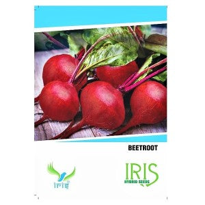 IRIS HYBRID OP VEGETABLE SEEDS BEETROOT