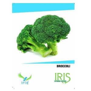 IRIS HYBRID VEGETABLE SEEDS BROCCOLI