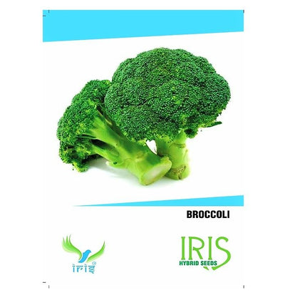 IRIS HYBRID VEGETABLE SEEDS BROCCOLI