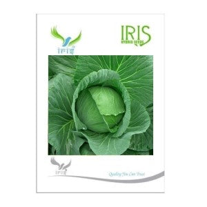 IRIS HYBRID VEGETABLE SEEDS CABBAGE