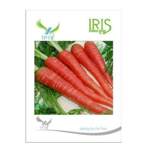 IRIS HYBRID CARROT SEEDS