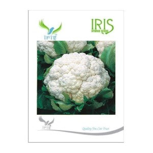 IRIS HYBRID VEGETABLE SEEDS CAULIFLOWER